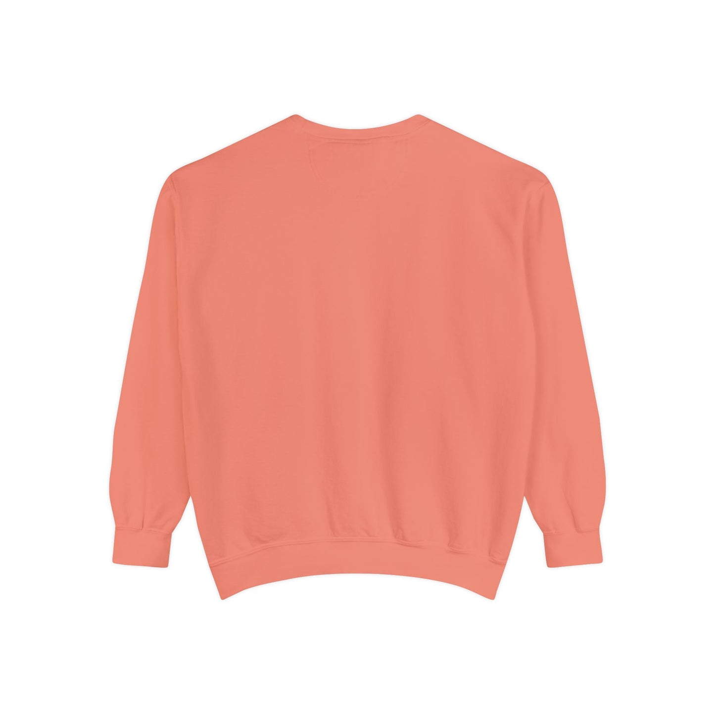 Not So Boring Christian Unisex Garment-Dyed Sweatshirt