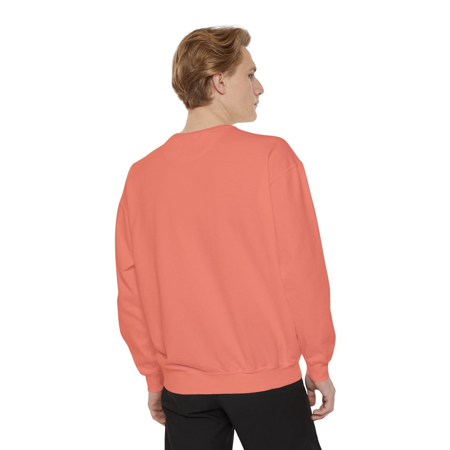 Not So Boring Christian Unisex Garment-Dyed Sweatshirt